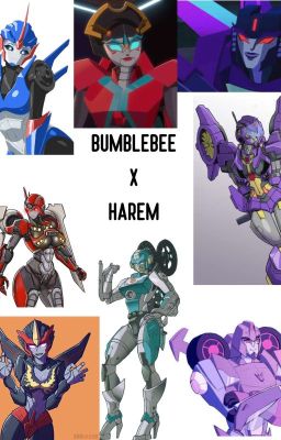 BUMBLEBEE X HAREM