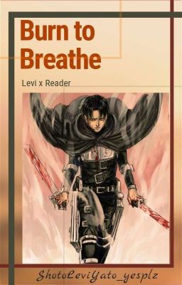 Burn to Breathe (Levi x Reader)