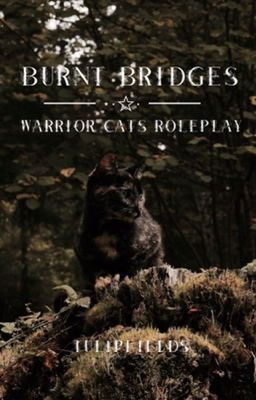 Burnt bridges - a warrior cats RP | closed