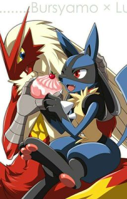 bursyamo x lucario