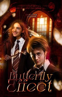 BUTTERFLY EFFECT ━━ harry potter