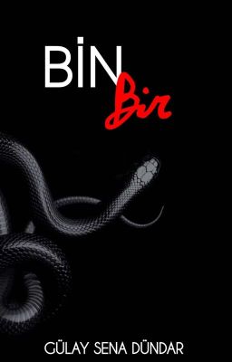 BİNBİR (+18)