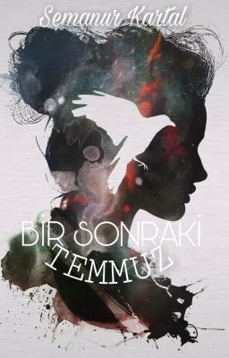 BİR SONRAKİ TEMMUZ