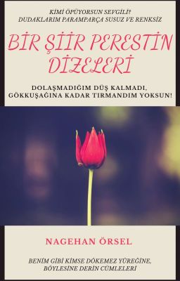 BİR ŞİİR PERESTİN DİZELERİ