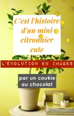 C'est l'histoire d'un citronnier cute