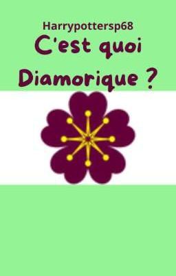 C'est quoi Diamorique ?