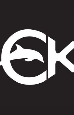 C 🐬 K