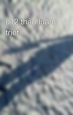 c12 thảo luận triết