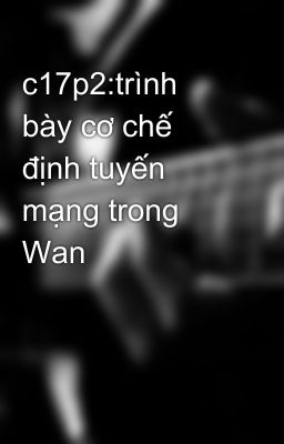 c17p2:trình bày cơ chế định tuyến mạng trong Wan