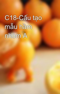 C18-Cấu tạo mẫu hầm nhóm A