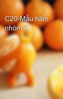 C20-Mẫu hầm nhóm C