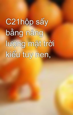 C21hộp sấy bằng năng lượng mặt trời kiểu tuy nen,