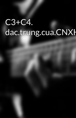 C3+C4. dac.trung.cua.CNXH+XD.CNXH.o.nc.ta