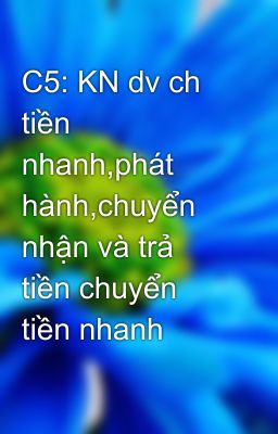 C5: KN dv ch tiền nhanh,phát hành,chuyển nhận và trả tiền chuyển tiền nhanh