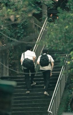 Cà chua nhỏ