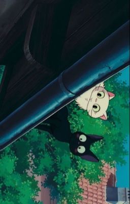 cá cược ‎₊˚⊹ᡣ𐭩 onran