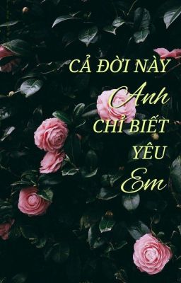 Cả Đời Này Anh Chỉ Biết Yêu Em [MinYoon] [LongFic]