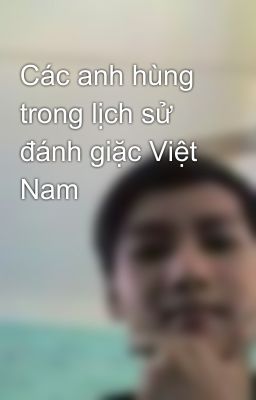 Các anh hùng trong lịch sử đánh giặc Việt Nam