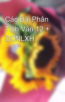 Các Bài Phân Tích Văn 12 + DCNLXH