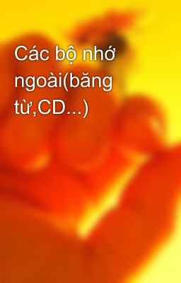 Các bộ nhớ ngoài(băng từ,CD...)