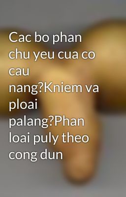 Cac bo phan chu yeu cua co cau nang?Kniem va ploai palang?Phan loai puly theo cong dun