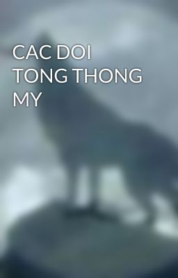 CAC DOI TONG THONG MY