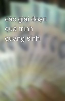 các giai đoạn quá trình quang sinh