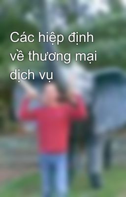 Các hiệp định về thương mại dịch vụ