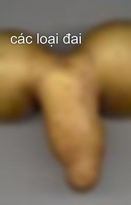 các loại đai