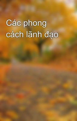 Các phong cách lãnh đạo