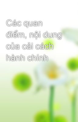 Các quan điểm, nội dung của cải cách hành chính