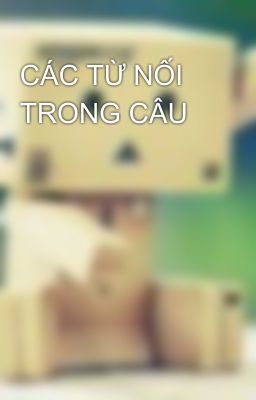 CÁC TỪ NỐI TRONG CÂU