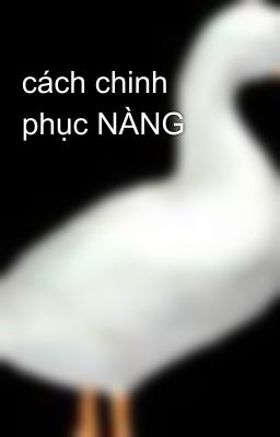 cách chinh phục NÀNG