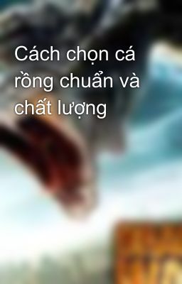 Cách chọn cá rồng chuẩn và chất lượng