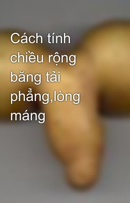 Cách tính chiều rộng băng tải phẳng,lòng máng