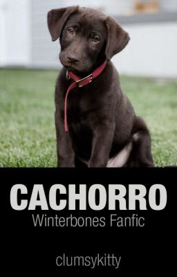 Cachorro