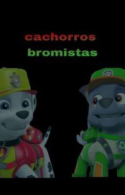 Cachorros bromistas.