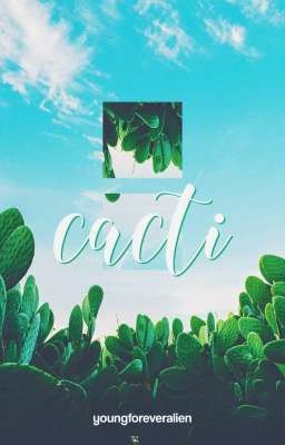 cacti 🌵 graphics ❜❜