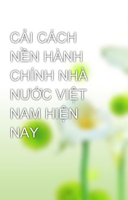 CẢI CÁCH NỀN HÀNH CHÍNH NHÀ NƯỚC VIỆT NAM HIỆN NAY