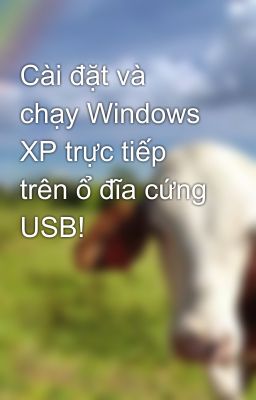 Cài đặt và chạy Windows XP trực tiếp trên ổ đĩa cứng USB!