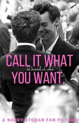 call it what you want • narry storan AU