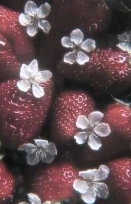 call my name｡⁠.ﾟ⁠+⁠ 