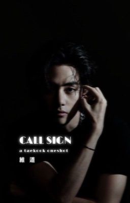 CALL SIGN | TAEKOOK ONESHOT ✔