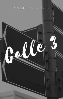 Calle 3