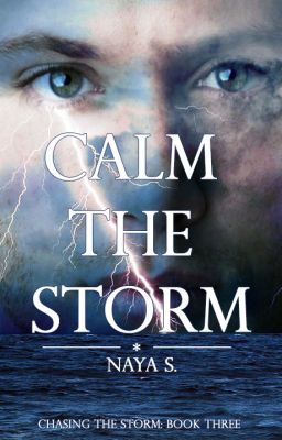 Calm the Storm (Chasing the Storm, #3)