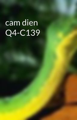 cam dien Q4-C139