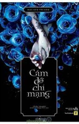 Cám Dỗ Chí Mạng - Mặc Bảo Phi Bảo