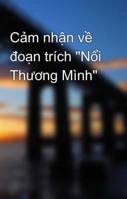 Cảm nhận về đoạn trích 