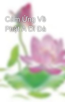 Cảm Ứng Về Phật A Di Đà