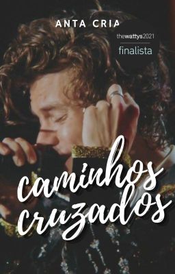 Caminhos Cruzados // harry styles